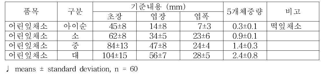 어린잎채소 규격에 따른 수확기준 조사