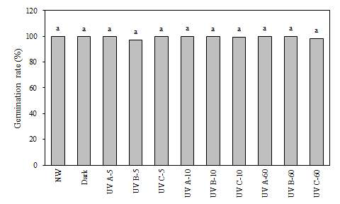 UV-A, B 및 C 조사 처리 후 다채 종자의 발아율.