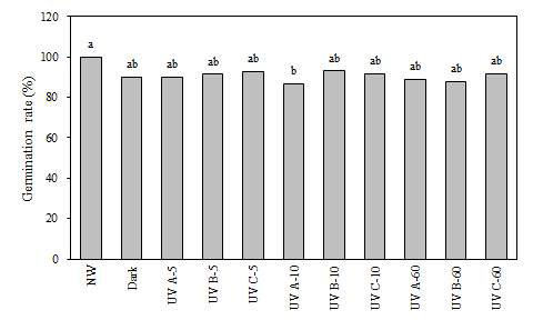 UV-A, B 및 C 조사 후 로메인 종자의 발아율.
