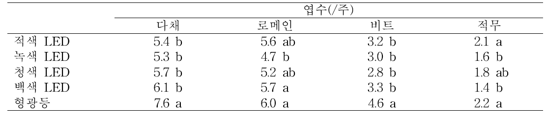 재배 중 광질에 따른 어린잎채소의 엽수 변화.