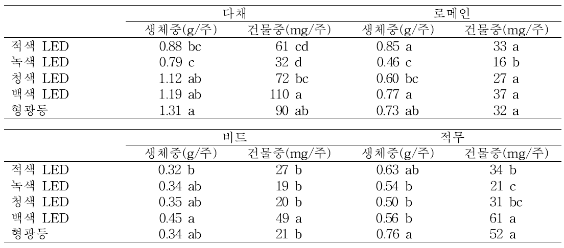 재배 중 광질에 따른 어린잎채소의 생체중 및 건물중 변화.