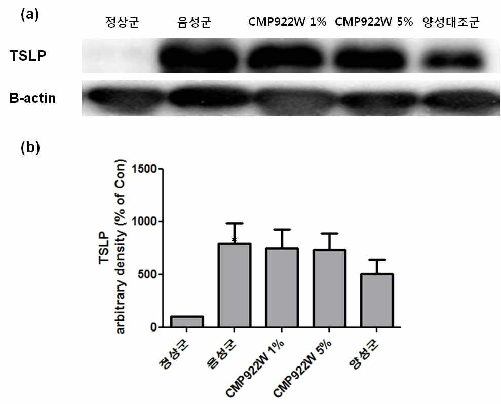 CMP922W의 아토피 마우스 피부조직의 TSLP 감소효과