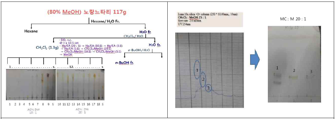 노랑느타리버섯 추출물의 분획별 TLC 패턴 및 성분분리