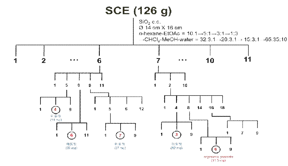 Isolation procedure of five purified compounds from the Sprarassis crispa