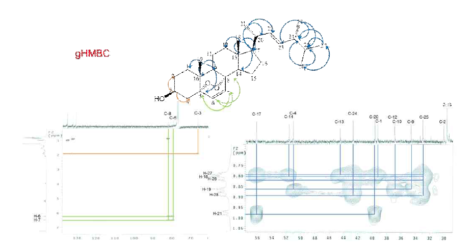 gHMBC spectrum of ergosterol peroxide from Sparassis crispa(CDCl3).