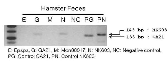 햄스터 대변에서의 GM옥수수 이벤트 특이적 검출