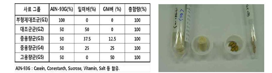 랫드 급이용 사료 조성과 사료 구성에 따른 시험동물 그룹 분류 표