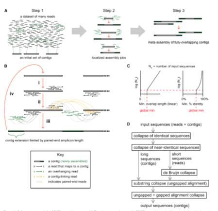 Trinity 프로그램을 이용하여 contig assembly 방법에 대한 도식도