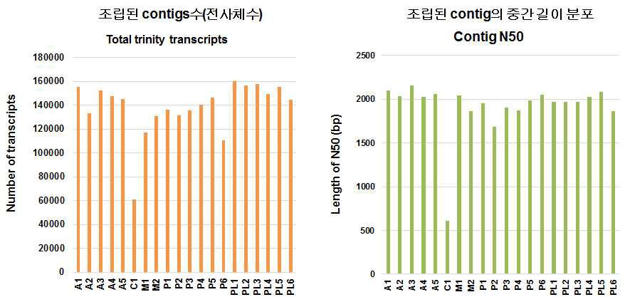 Trinity 프로그램을 이용해 Raw data를 assembly한 결과