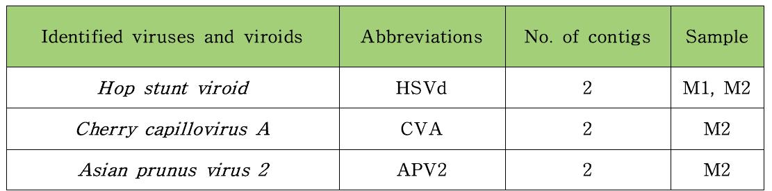 살구 감염 바이러스 및 바이로이드 동정 결과