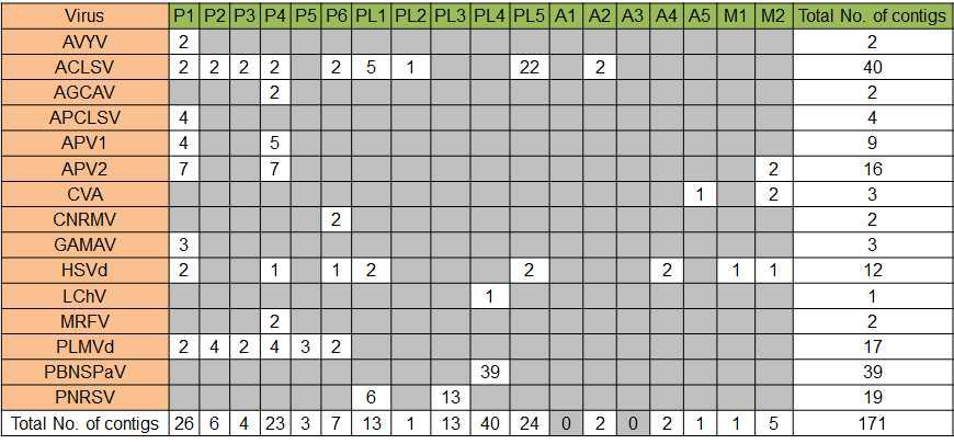 각 바이러스, 바이로이드 또는 샘플별로 동정된 바이러스 관련 contig수의 분포도