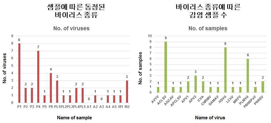 샘플에 따른 동정된 바이러스의 종류 및 바이러스 종류에 따른 감염 샘플 수