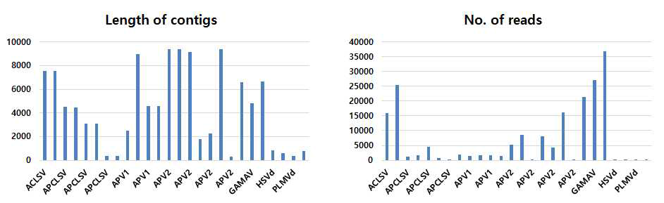 P1샘플에서 동정된 contig의 길이 분포 및 contig에 매치되는 raw data read수