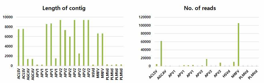 P4샘플에서 동정된 contig의 길이 분포 및 contig에 매치되는 raw data read수