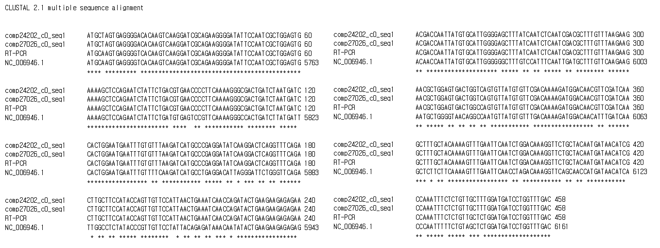 제작된 Apricot pseudo-chlorotic leaf spot virus 동정용 프라이머로 증폭된 염기서열 (RT-PCR)과 다른 NGS로 조립된 contigs들과의 염기서열 비교 분석