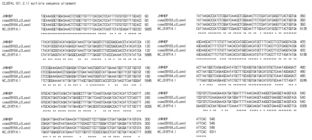 제작된 Apple green crinkle associated virus동정용 프라이머로 증폭된 염기서열(RT-PCR)과 다른 NGS로 조립된 contigs들과의 염기서열 비교 분석