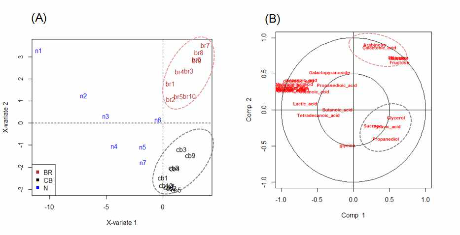 PLS-DA score(A) and loading plot(B) of polar phase compounds of pericarp in damaged pear.