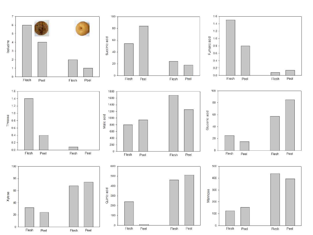 ‘신고’배 정상과와 과피흑변 조직의 주요 metabolites 상대적 정량평가 비교