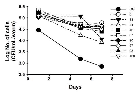 Colonization of LAB strains in the fer-15;fem-1 nematode intestine. After exposing to LAB cells for appreciate periods, nematodes were washed five times with M9 medium and worms were placed in new sterile tubes containing M9 medium with 1% Triton X-100 and were mechanically disrupted by using a pestle. Colonization was determined by plating on modified MRS(pH5.0) agar. Data are expressed as the mean ± standard deviation(SD) of three experiments.