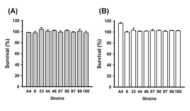 The susceptibility of selected 9 LAB strains after exposure to acid conditions with synthetic gastric juice(pH 2.5)(A) and bile conditions with 0.5% oxgall(B). Data are expressed as the mean ± standard deviation(SD) of three experiments