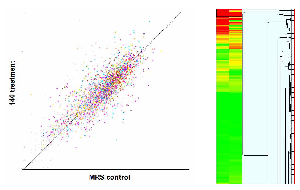 MRS control과 B. licheniformis 146 박테리오신이 처리된 유방염 원인세균 S. aureus RF122 유전자 발현변화의 scatter plot(왼쪽) 및 cluster blowser(오른쪽) 이미지