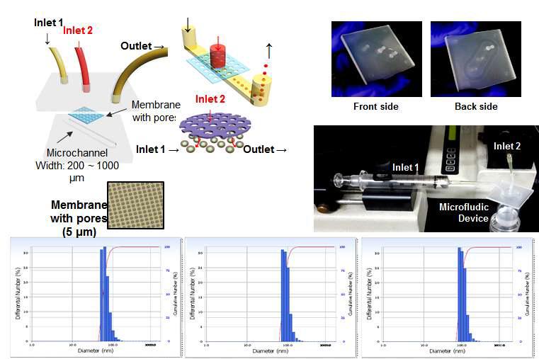 마이크로유체칩을 이용한 lipid vesicle 제조 장치 및 lipid vesicle 크기측정 결과