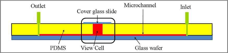 면연응집반응 산란광 강도 측정을 위한 Y형 마이크로 디바이스