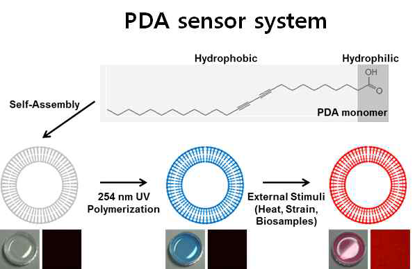 PDA sensor 의 작동원리