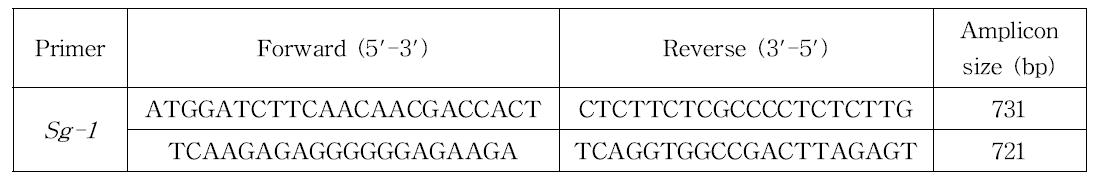 Sg-1 유전자 염기서열 분석을 위한 primer 염기서열 및 증폭 크기.