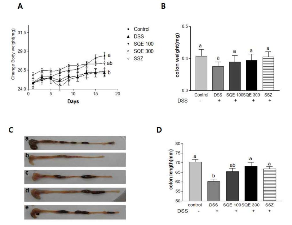 Effect of SQE supplementation on bodyweight and colon length in DSS-induced chronic colitis mice.