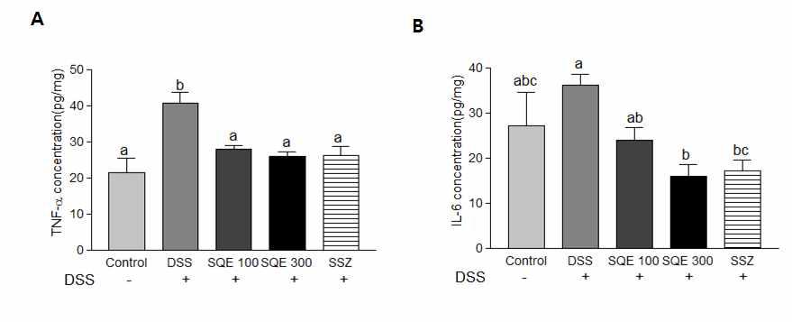 Effect of SQE supplementation on serum inflammatory cytokines