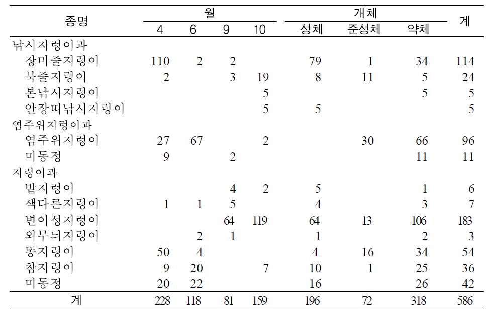 선유도 농생태계 지렁이 목록 (2013. 4∼2013. 10)