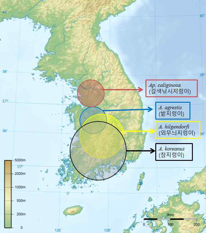 위도별 한반도 농생태계 지렁이 풍부도.