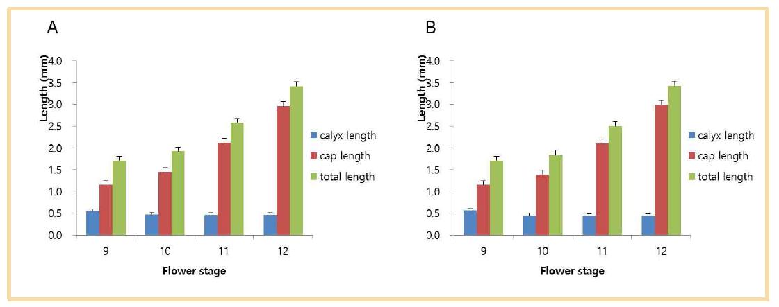 ‘Campbell Early’ (A)와 ‘Tamnara’ (B)의 각각의 꽃 발달별 화관과 꽃받침의 길이.
