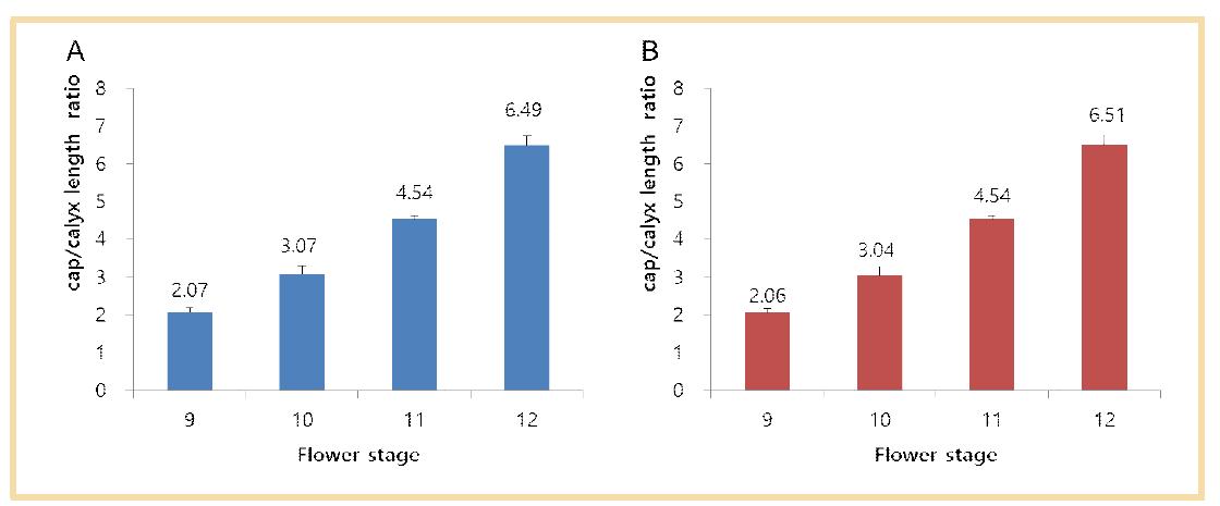 ‘Campbell Early’ (A)와 ‘Tamnara’ (B)에서 꽃받침 길이에 대한 화관의 길이의 비율