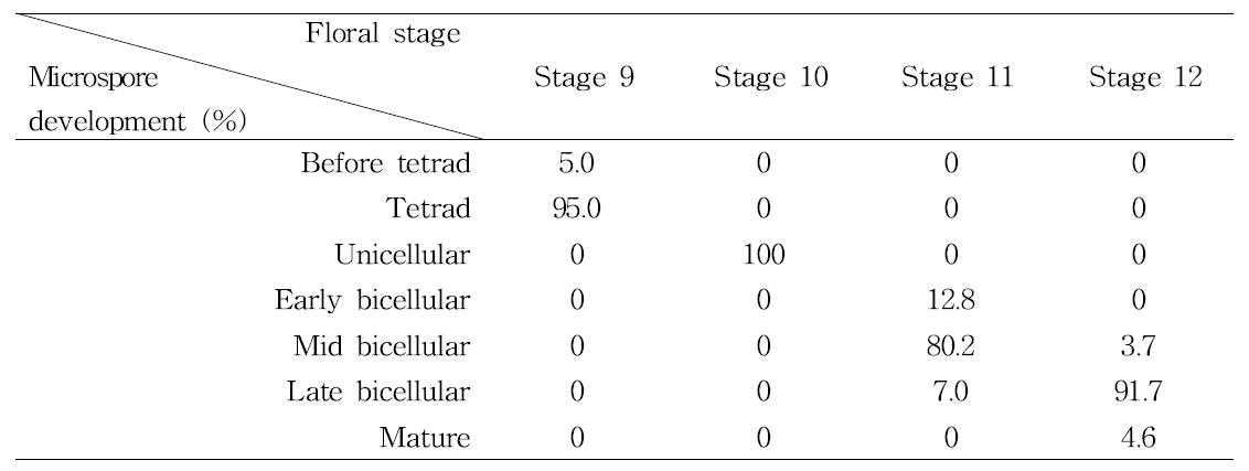 ‘Campbell Early’와 ‘Tamnara’ 포도의 꽃 발달 단계별 소포자 발달 단계 분포