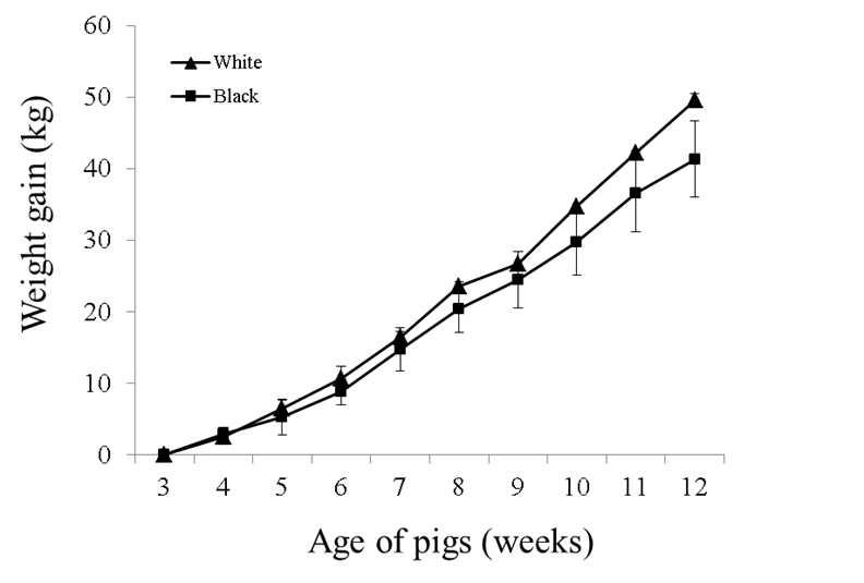 Growth rate difference between Landrace pigs and Korean native black pigs