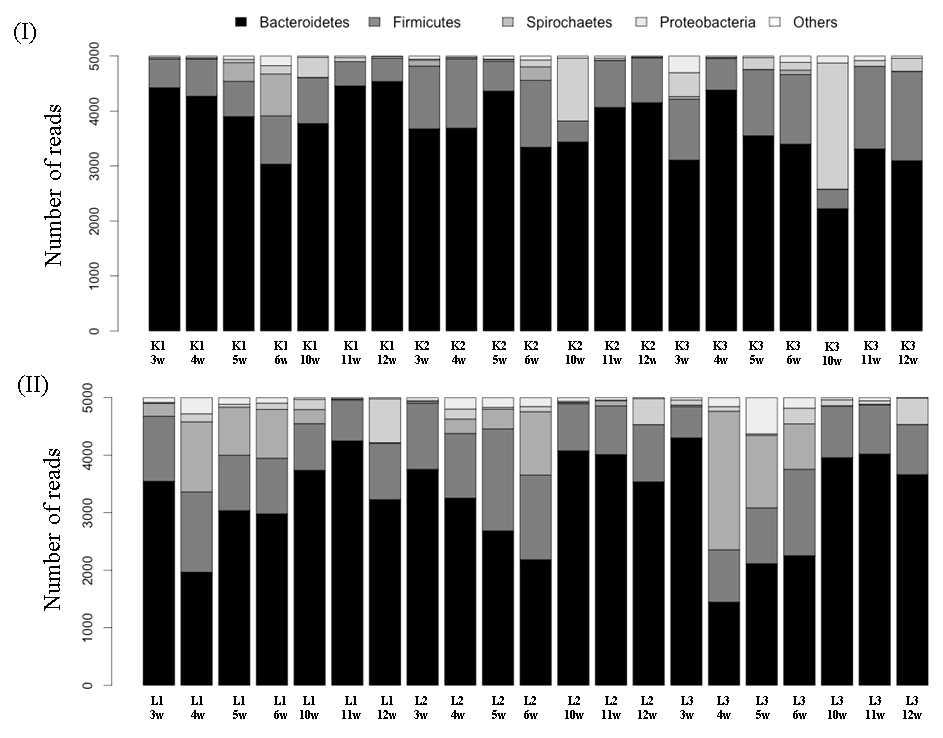 The Phylum level bacterial composition analysis for Landrace pigs (I) and Korean native black pigs (II). L and P denote Landrace pigs and Korean native black pigs, respectively