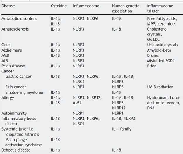 IL-1β, IL-18, 인플라마솜과 관련된 복합질병들