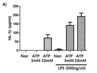 IL-1β production by inflammasome activation induced by LPS and ATP.