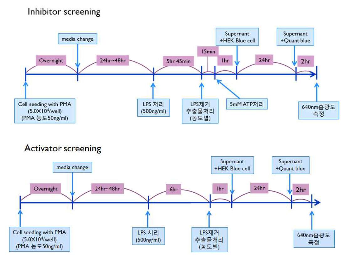 Experimental protocol used for screening inflammasome inhibitors and inducers.