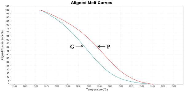 HRM marker test graph to identify purple pepper with green pepper.