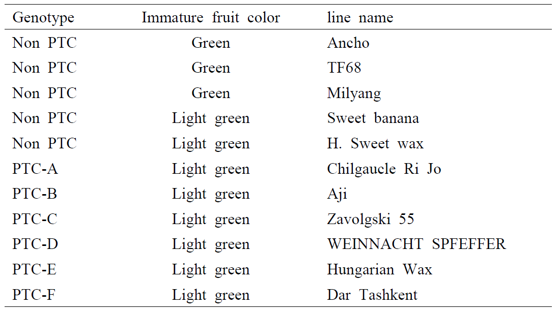 Selected line for analysis of gene expression of CaGLK2 and quantification of chlorophyll and carotenoid in immature fruits.