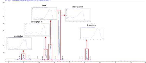 HPLC profile of carotenoid and chlorophyll in immature pepper at 434nm.