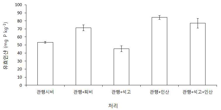 2013년 개량제 처리 후 배추 재배 토양의 유효인산 함량 변화.