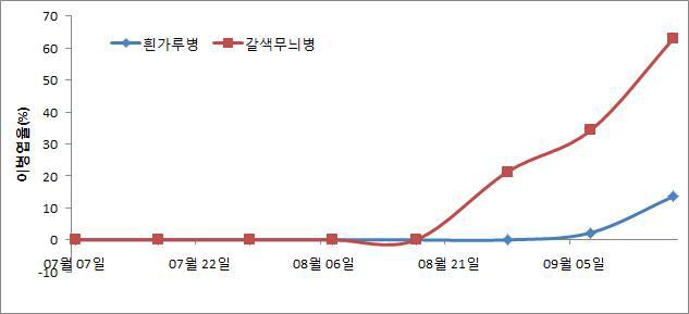 흰가루병과 갈색무늬병 발생소장