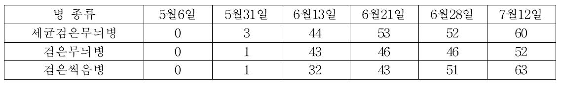 봄 재배 열무의 주요 병 발생조사