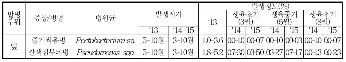 용과에 발생하는 주요 병해 및 피해정도