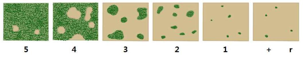 Braun-Blanquet scale by cover-abundance with figure