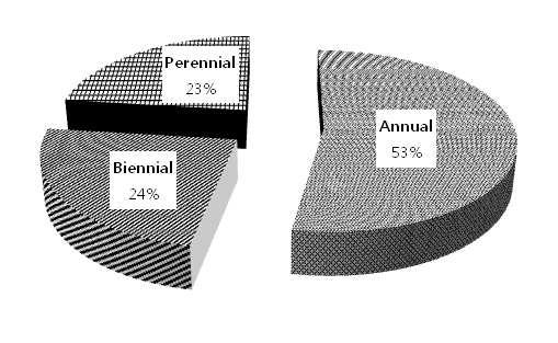 Classification of occurred weeds in Ligulari fischeri fields by life cycle.